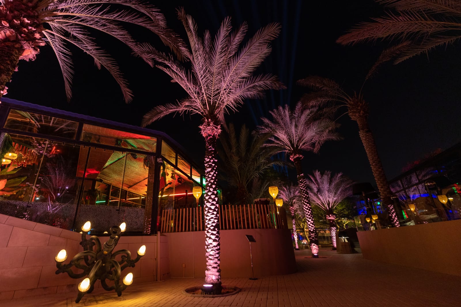 Palm trees lit from below in warm white beside a glass pavilion at night.