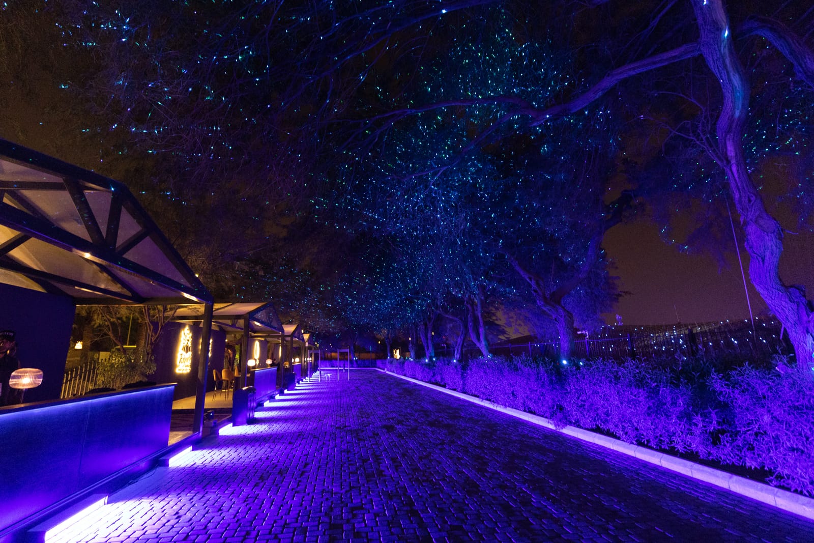 A garden path washed in violet light under trees scattered with tiny blue points of light.